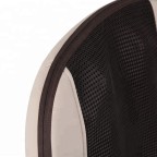 Electric kneading waist and back massage cushion