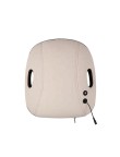 Electric kneading waist and back massage cushion