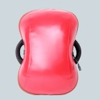 5D Kneading and Shiatsu Back Massage Cushion